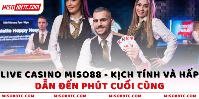 Live Casino MISO88 - Kịch tính và hấp dẫn đến phút cuối cùng